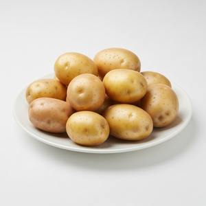 Wholesale <b>Fresh</b> <b>Potatoes</b> Premium Quality Bulk Export Suitable for Cooking Boiling Frying Food Processing Retail and Export - Product Image 2