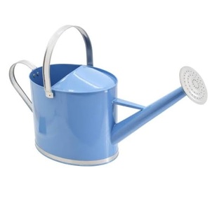 Regadera Decorativa de Hierro Grabada a Mano para Jardín, Acabado Azul de Alta Calidad, Regadera Personalizada de Primera Calidad - Product Image 1