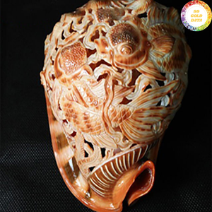 Concha Natural de Calidad Cassis Madagascariensis de Vietnam Diseñada para Proyectos de Arte Creativo y Usos Decorativos - Product Image 5