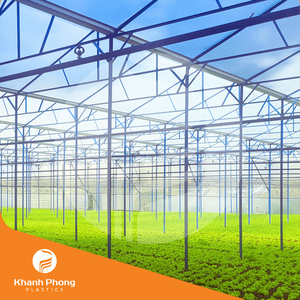 Película de invernadero para verduras y frutas Transmisión de luz óptima y excelente tamaño estándar de retención de calor y humedad - Product Image 4