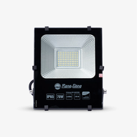 Projecteur LED pour un éclairage extérieur puissant avec gradation intelligente et conception étanche IP66 IK08
