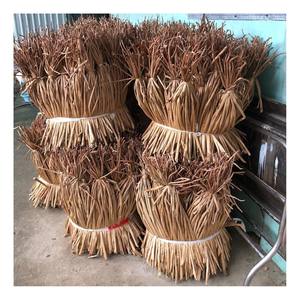 Bouquets de jacinthe d'eau séchés de la plus haute qualité, à bas prix, pour le tissage artisanal. - Product Image 1