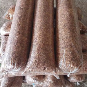 Écrevisses africaines IQF surgelées, durée de conservation de 12 mois, livraison rapide, meilleur prix bas en vente - Product Image 1