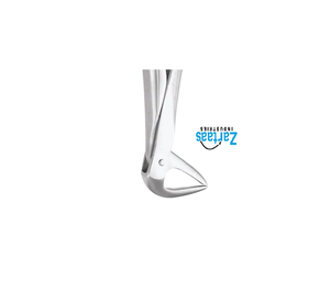 Pince d'extraction en acier inoxydable de haute qualité racines inférieures fig 74n exportateurs et fabricant - Product Image 2