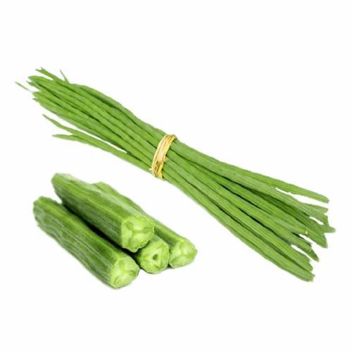 Хит продаж, 100% Органическая свежая голень Moringa, Овощи Оптом, лучшая длинная свежая голень, распродажа