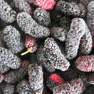 MÛRIES CONGELÉES/CERTIFIÉS BIOLOGIQUES/EMBALLAGES EN VRAC POUR L'INDUSTRIE ALIMENTAIRE ET LA DISTRIBUTION AU DÉTAIL - Product Image 5