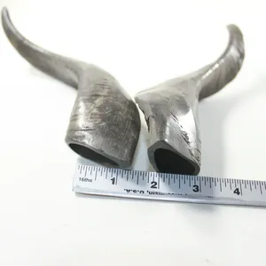ฮอร์นแพะฮอร์นแกะธรรมชาติขนาดกำหนดเองได้ - Product Image 1