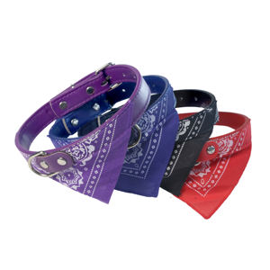 Luxe Lichtgewicht Verstelbare Duurzame Pu Meerkleurige Hond Kat Halsband Para Perro Huisdieraccessoires Hond Halsband - Product Image 2