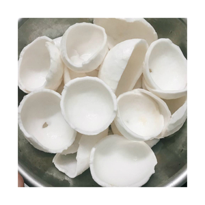 Exportador de coco congelado de Vietnam, sabor dulce, fácil de usar, directo del fabricante, el más vendido en plataformas globales B2B - Product Image 1