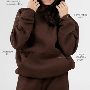 Women's Standard <b>Hoodie</b> Heavyweight Oversized Casual Hoody Anti-pilling 450g Fleece Custom Logo Autumn/Winter Wear - Product Image 2