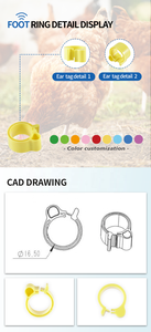 F-006 Papegaaienbeenring Nieuwe Outdoor Flight Training Accessoires Voor Vogelduif Open Voetring - Product Image 3