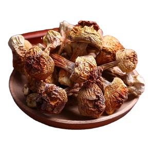 เห็ด Agaricus Blazei ดิบที่ปลูกอย่างประดิษฐ์ขายส่งเห็ด Agarius แห้งคุณภาพสูง - Product Image 1