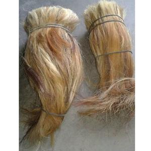 Cheveux naturels de queue de boeuf et de queue de buffle poils d'animaux crus pour bricolage à la main à séchage rapide Art et à collectionner - Product Image 2