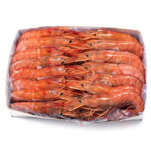 Exportador al Mejor Precio de Camarones Rojos Congelados Disponibles para Exportación a Todo el Mundo - Product Image 4