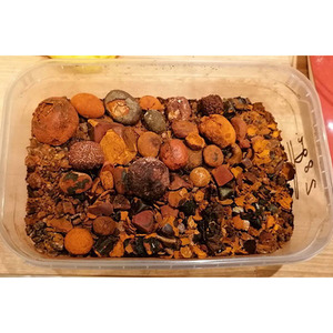 Cálculos biliares secos de buey de vaca, extracto de animales Premium, cálculos biliares de ganado a precio barato - Product Image 4