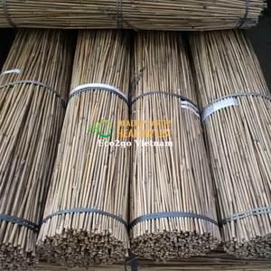 Bâtons en bambou 100% pour plantation/piquets de canne en bambou/bâtons en bambou pour décoration de ECO2GO vietnam, vente en gros - Product Image 2