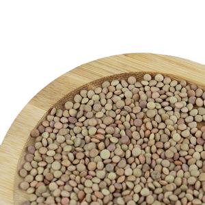 Lentejas verdes orgánicas de alta calidad Precios al por mayor Entrega rápida Stock a granel a la venta Producto ecológico - Product Image 6