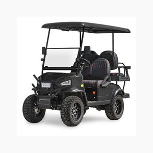 Voiturette de golf électrique de marque avec meterb professionnel - Product Image 6
