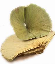 ใบบัวแบบแห้งสำหรับวิถีชีวิตที่มีสุขภาพดีฉลากที่สะอาดผลิตภัณฑ์มังสวิรัติ - Product Image 4