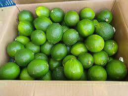 Citron vert bio sans pépins frais/naturel de qualité supérieure 100% bon pour la santé emballé dans une boîte de l'exportateur du Viet Nam - Product Image 6
