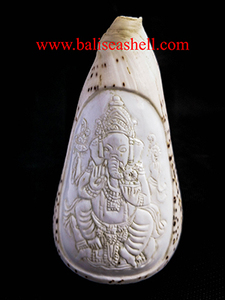 Conus Shell tallado Ganesha ornamento Feng Shui SEASHELL JOYERÍA con técnica cruda con estilo de animal religioso Dios tallado - Product Image 6