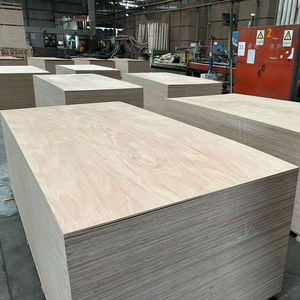 Contreplaqué en eucalyptus moderne pour la décoration intérieure du salon - Product Image 2