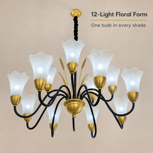 Modern Iron Chandelier With Frosted Glass Flower Shades Gold Finish Adjustable Height For Dining Room And Living Room - Product Image 2