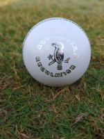 Nouvelles balles de cricket en cuir de qualité supérieure, cousues à la machine, 2 pièces