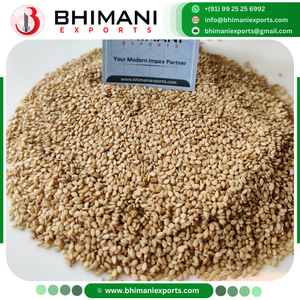 Producteur et fabricant leader de graines de sésame, graines de sésame, sans OGM, naturelles, pour la vente en gros, 100% naturelles, blanc naturel - Product Image 3