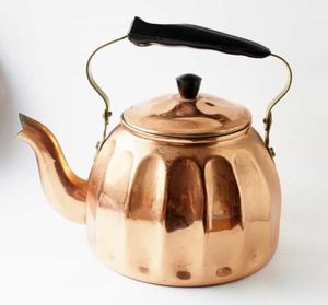 La tetera de metal con aislamiento de doble pared mantiene las Bebidas calientes por más tiempo, perfecta para las mañanas de invierno y las reuniones al aire libre - Product Image 4