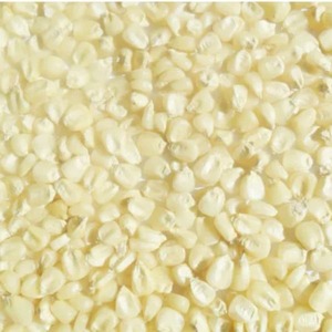 Maíz Blanco Seco No Glutinoso, Listo para Exportación, 24 Meses de Vida Útil, Uso Industrial y Nutricional, Origen Tailandia, Envío a Todo el Mundo - Product Image 6