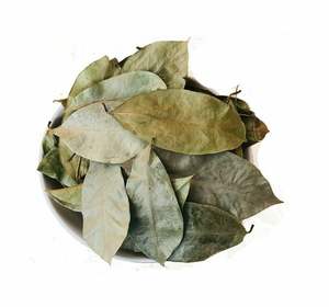 100% Corossol naturel de qualité supérieure vérifié sans OGM Feuilles de Corossol séchées Vente en gros du Vietnam Tisane sans caféine - Product Image 1