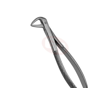 Forceps dentaire pour l'extraction de dents avec finition polonaise miroir Forceps d'extraction dentaire - Product Image 5