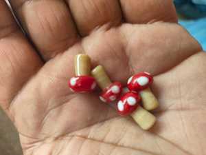 Pendentifs sur le thème des champignons en verre à pois sur mesure idéaux pour les créateurs de bijoux et les magasins de perles à revendre - Product Image 2