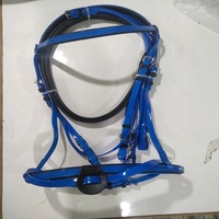 Bridon de course imperméable en PVC pour chevaux, résistant à l'humidité, avec des attaches métalliques antirouille et durables, conçu pour diverses équitations.