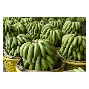 BANANE CAVENDISH FRAIS PRODUIT DE HAUTE QUALITÉ GRANDE TAILLE FRUITS EXOTIQUES MEILLEUR PRIX POUR L'EXPORTATION - Product Image 4
