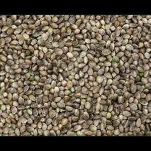 Graines de chanvre décortiquées, graines de chanvre en gros, graines de chanvre biologiques - Product Image 3