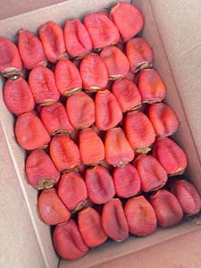 Produit en gros de kakis séchés vietnamiens avec une couleur naturelle, un goût sucré et une texture douce - Product Image 4