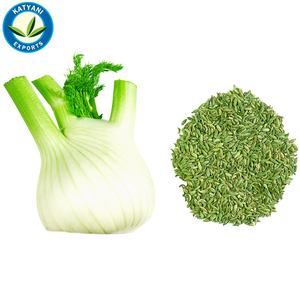Huile essentielle naturelle de graines de fenouil, qualité naturelle et thérapeutique pour les soins de la peau, anti-âge, huile pressée à froid pour la croissance des cheveux - Product Image 1