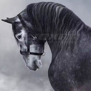 Licou d'équitation en cuir avec boucles en métal solide et confortable, idéal pour l'entraînement - Product Image 4