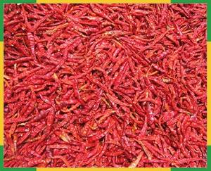Premium <b>Dried</b> <b>Red</b> <b>Chilli</b> Agriculture Product - Product Image 2