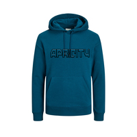 Sweat-shirt à capuche oversize unisexe pour l'hiver, coupe décontractée, épais, streetwear, imprimé numérique, fournisseur OEM en gros