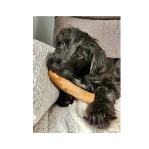Prix usine café bois bâtons à mâcher pour animaux de compagnie en gros 100% café naturel bois chien jouet à mâcher café arbre bois jouets à mâcher pour chien - Product Image 2