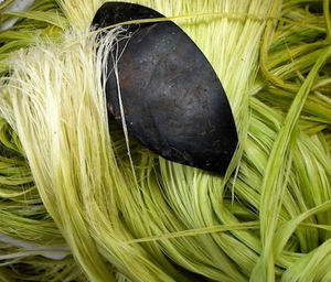 Fibra de piña natural | Fibra vegetal sostenible para textiles ecológicos, papel y productos biodegradables - Product Image 3