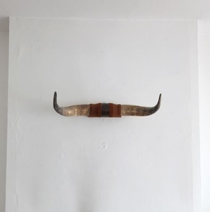 Décoration murale de style animal écologique en corne longue naturelle pour la décoration intérieure de la maison et du bureau avec taille personnalisable - Product Image 1