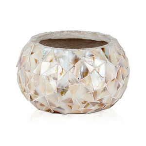 คอลเลกชันที่ดีที่สุดของแม่ของไข่มุกสำหรับดอกไม้ที่ปลูกในร่มและกลางแจ้งห้องนั่งเล่นทนทาน - Product Image 1