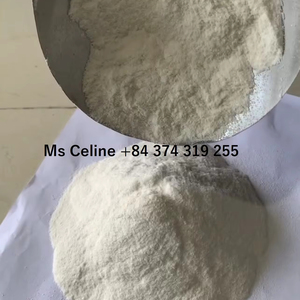 POLVO ALTAMENTE NUTRITIVO | Polvo de seamoss de alta calidad de Vietnam con precio competitivo - Product Image 1