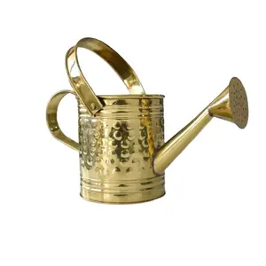 Premium Quality Water Can Best Quality Iron Metal New Design Custom Shape Watering Can For Home Garden Daily Usage