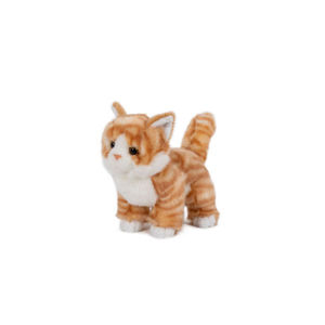 gatto dorato, in piedi - Product Image 1