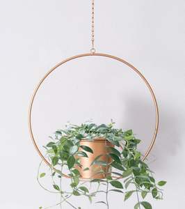Jardinières suspendues rondes en fer chromé de haute qualité, design moderne, pour intérieur, extérieur, maison, hôtel, jardin, décoration, pots à fleurs - Product Image 1